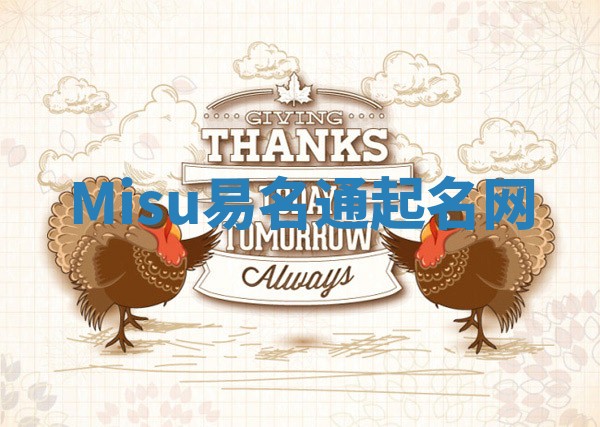 Misu易名通起名网 Misu易名通起名网