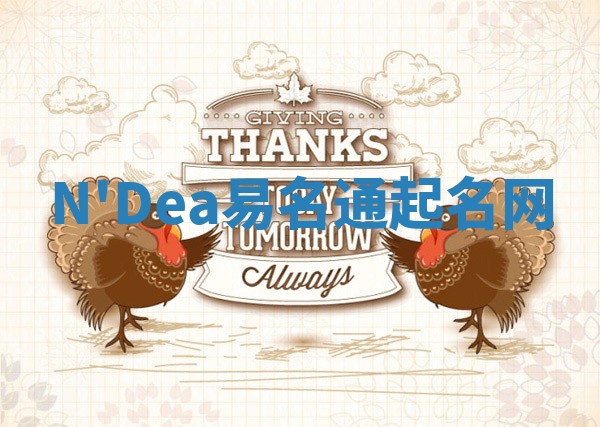 N'Dea易名通起名网