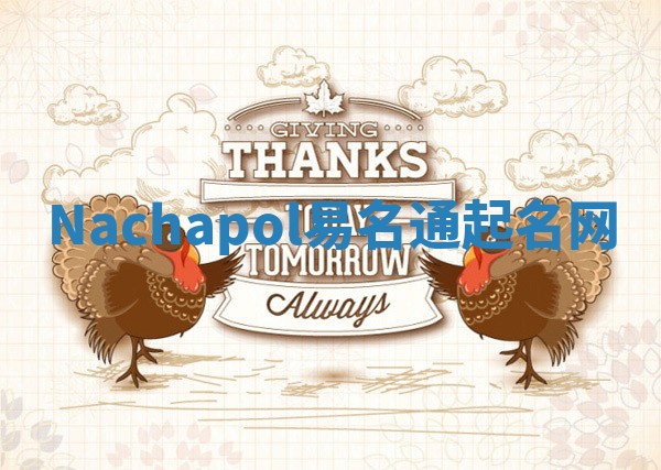 Nachapol易名通起名网