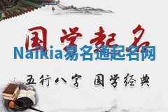 Naikia易名通起名网
