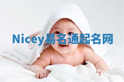 Nicey易名通起名网