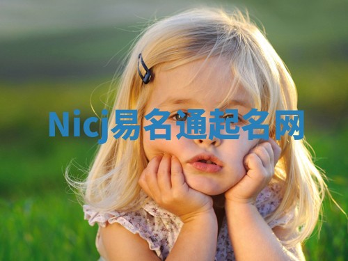 Nicj易名通起名网