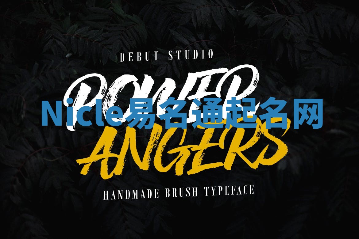 Nicle易名通起名网