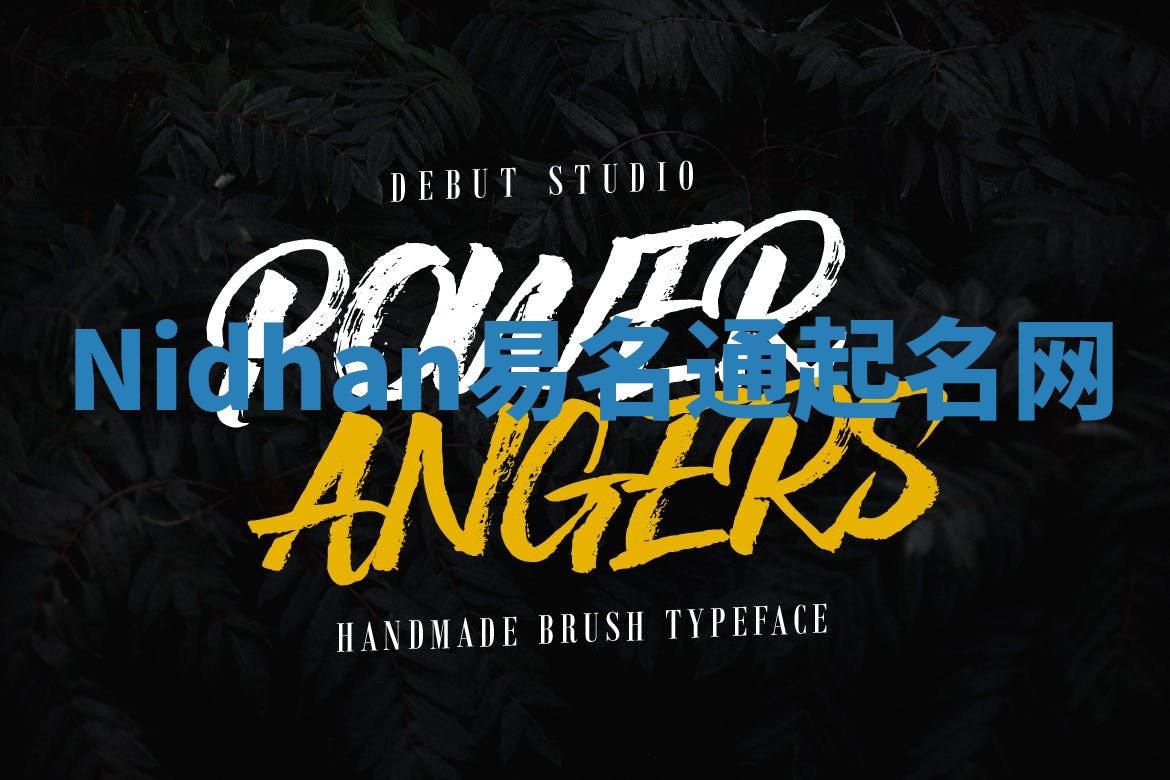 Nidhan易名通起名网