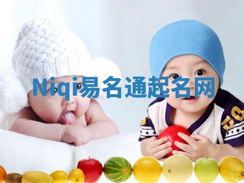 Niqi易名通起名网