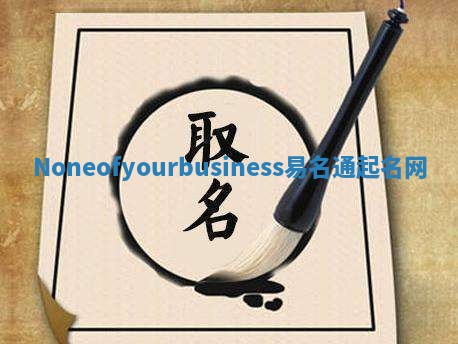 Noneofyourbusiness易名通起名网