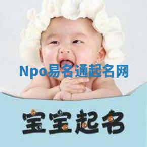Npo易名通起名网