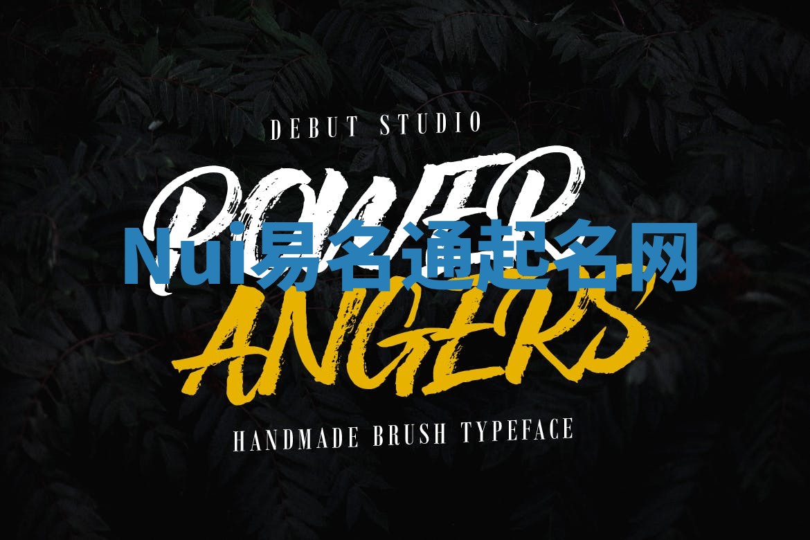 Nui易名通起名网 Nui易名通起名网