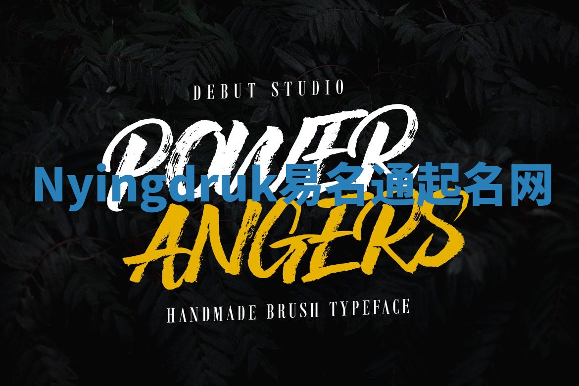 Nyingdruk易名通起名网