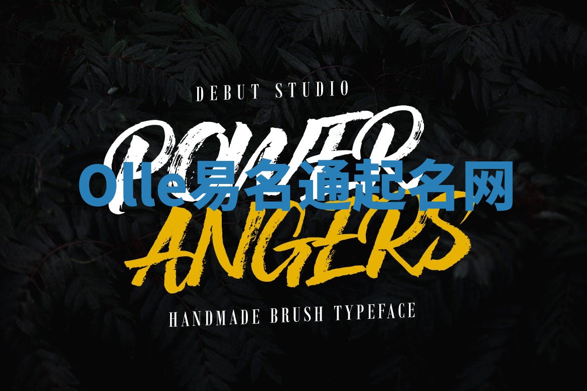 Olle易名通起名网 Olle易名通起名网