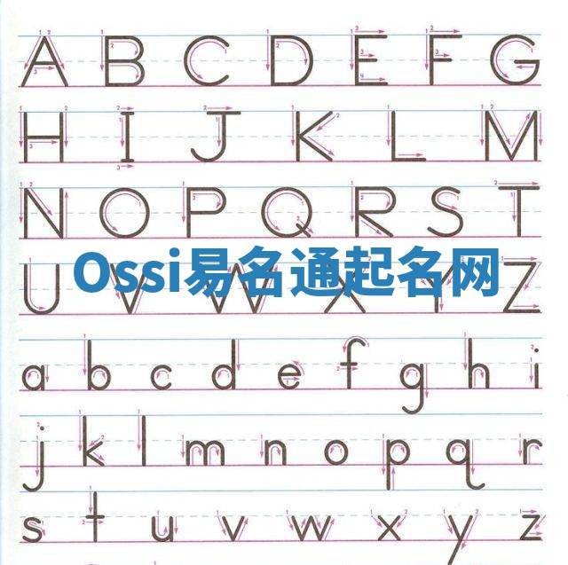 Ossi易名通起名网
