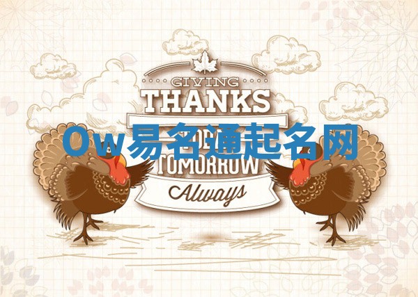 Ow易名通起名网