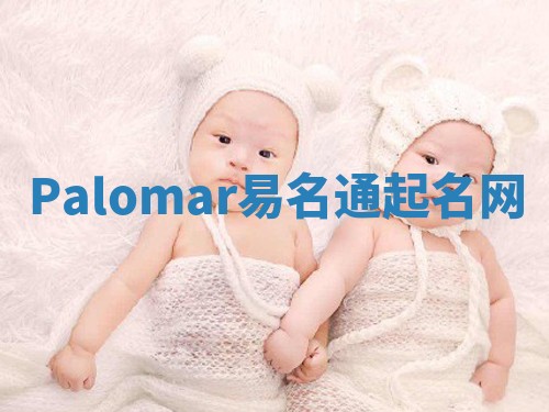 Palomar易名通起名网