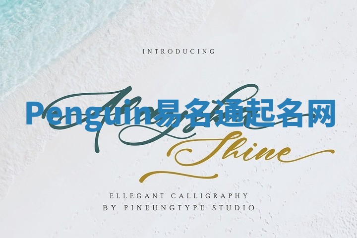 Penguin易名通起名网