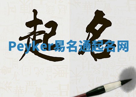 Peyker易名通起名网 Peyker易名通起名网