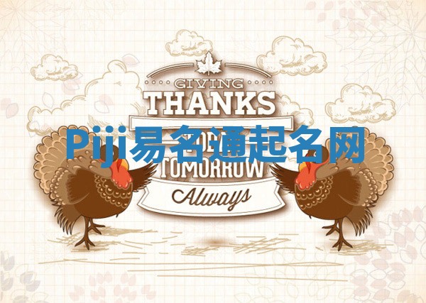 Piji易名通起名网