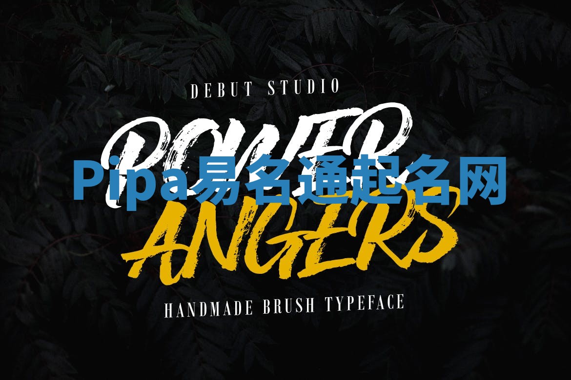 Pipa易名通起名网 Pipa易名通起名网