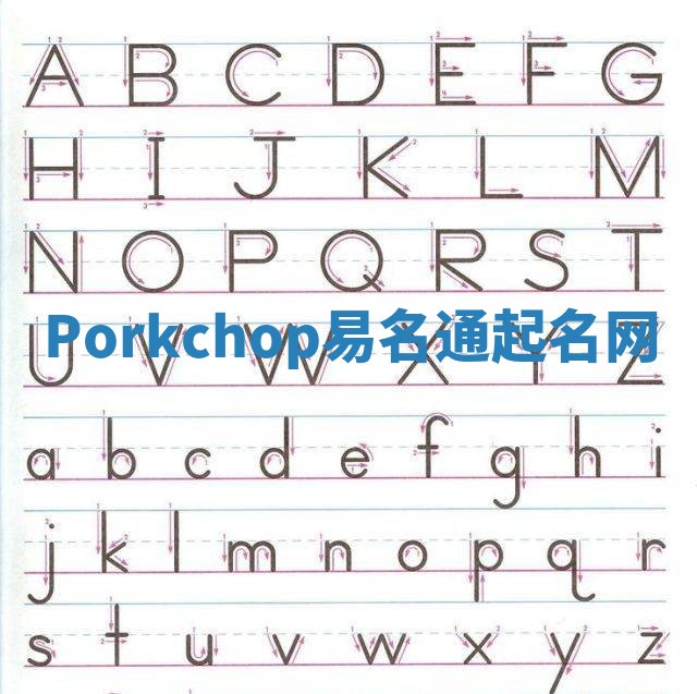 Porkchop易名通起名网