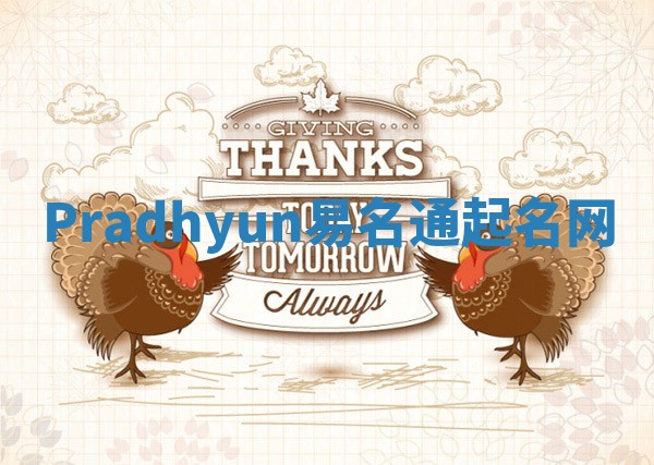 Pradhyun易名通起名网