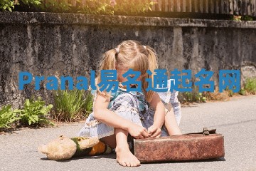 Pranal易名通起名网