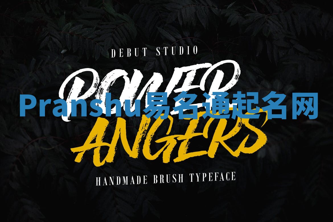 Pranshu易名通起名网