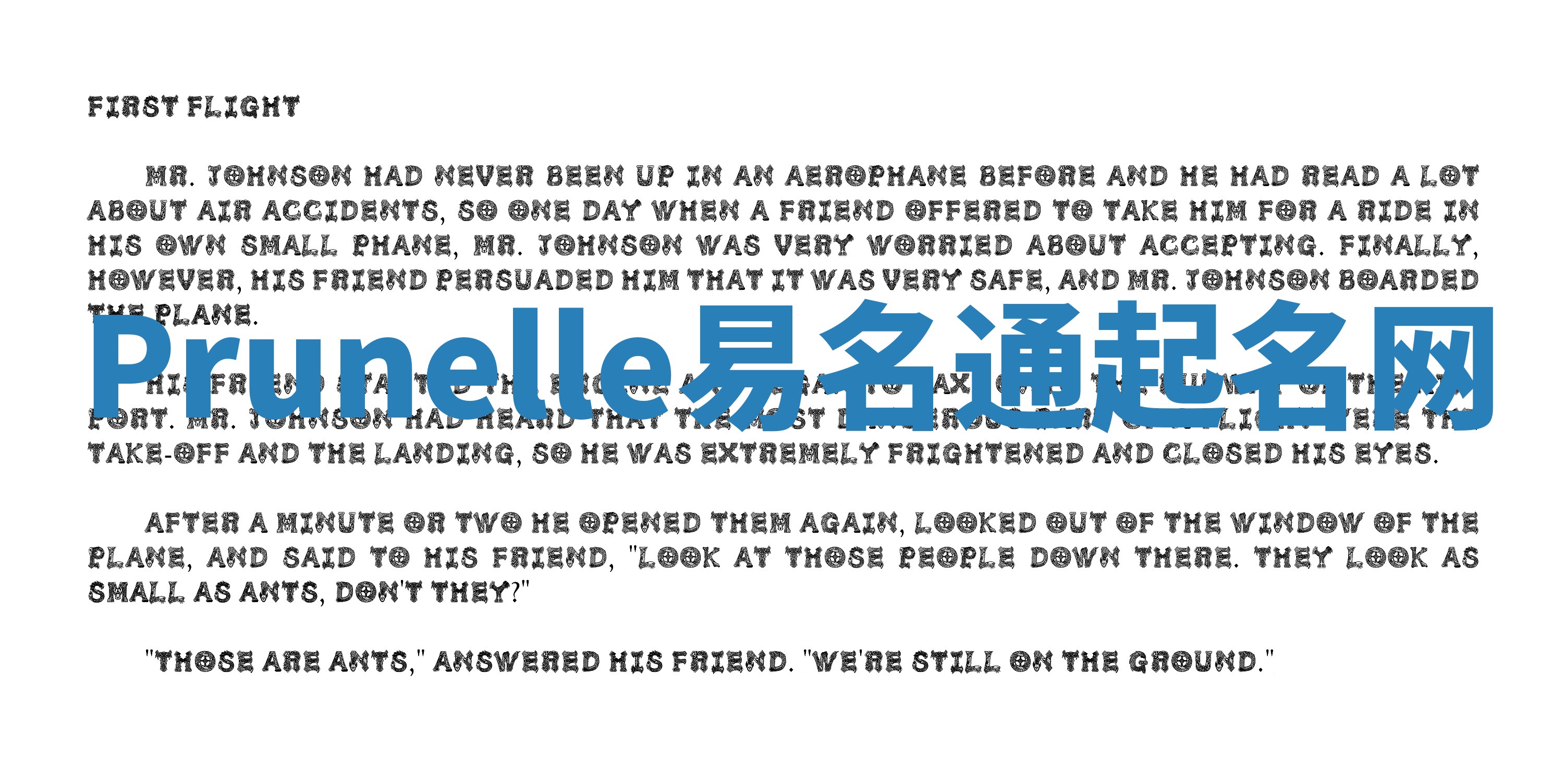 Prunelle易名通起名网