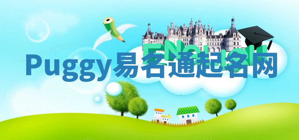 Puggy易名通起名网