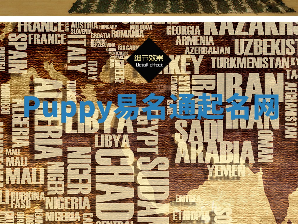 Puppy易名通起名网 Puppy易名通起名网