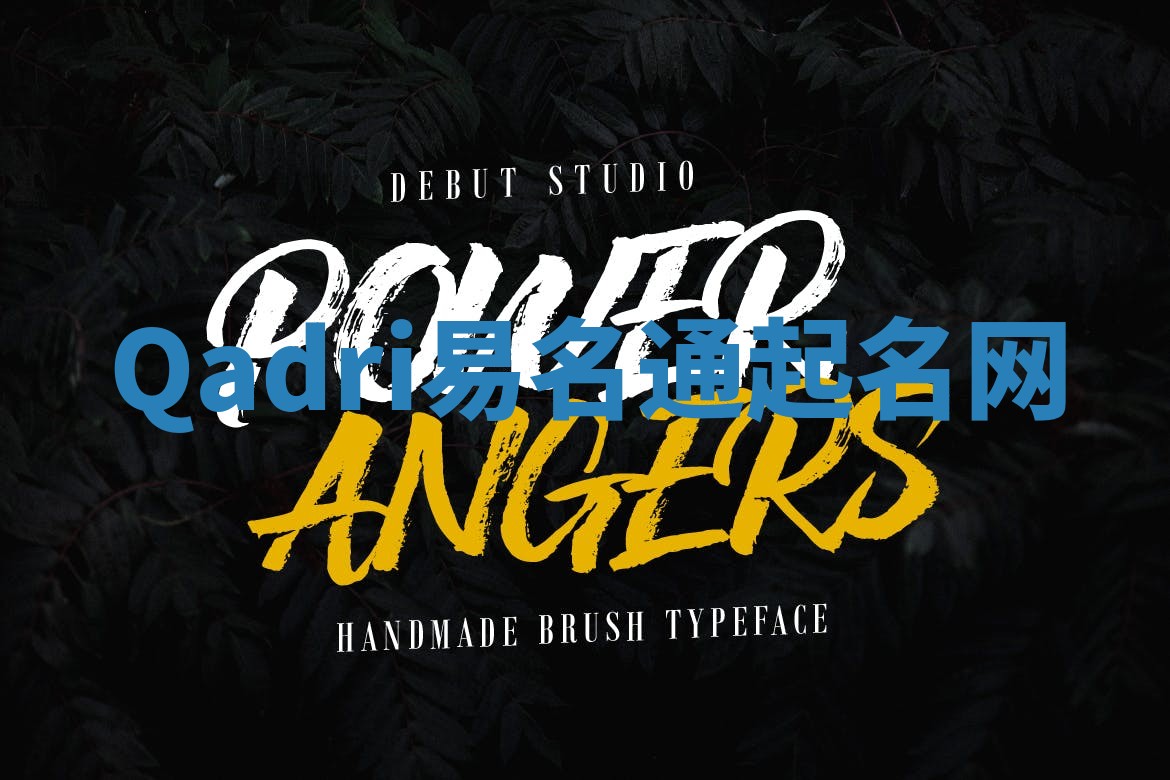 Qadri易名通起名网