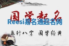 Reesi易名通起名网