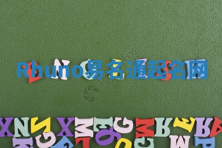 Rhuno易名通起名网