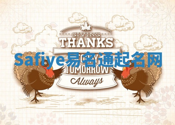 Safiye易名通起名网