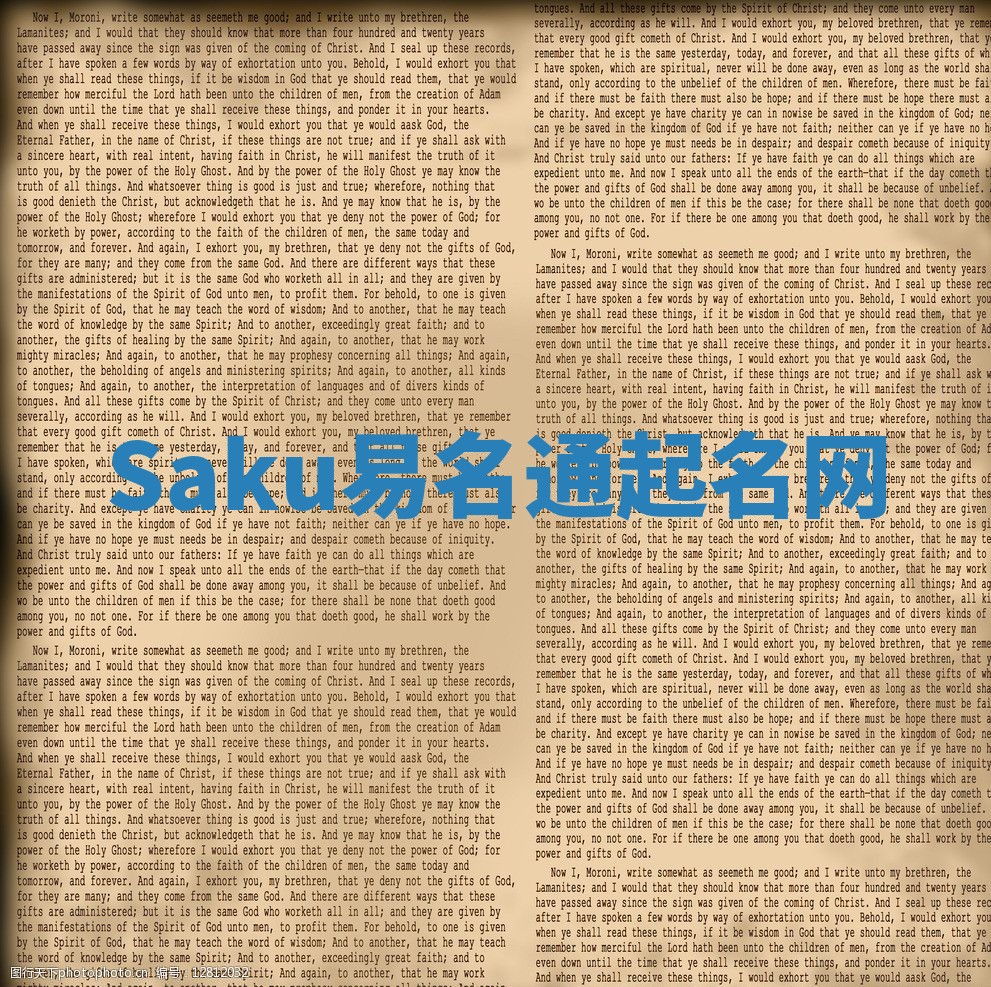 Saku易名通起名网