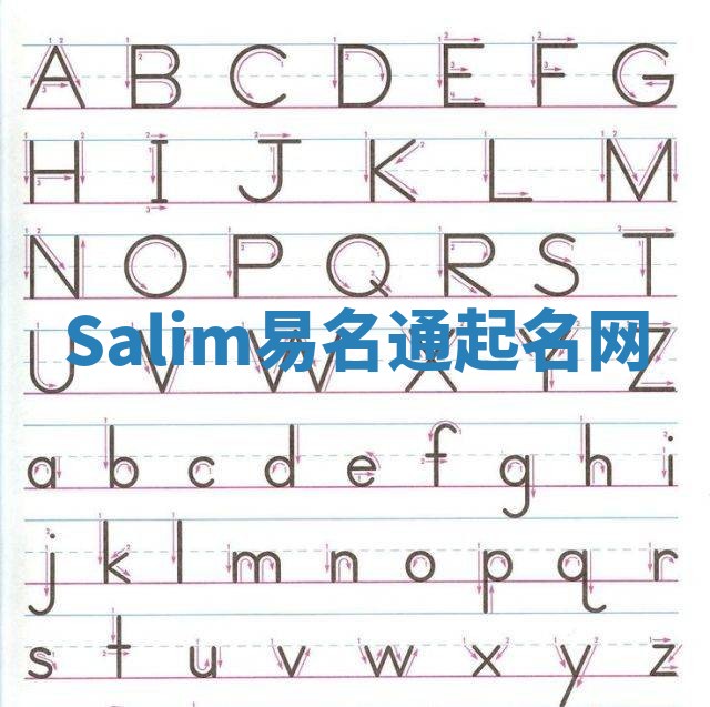 Salim易名通起名网