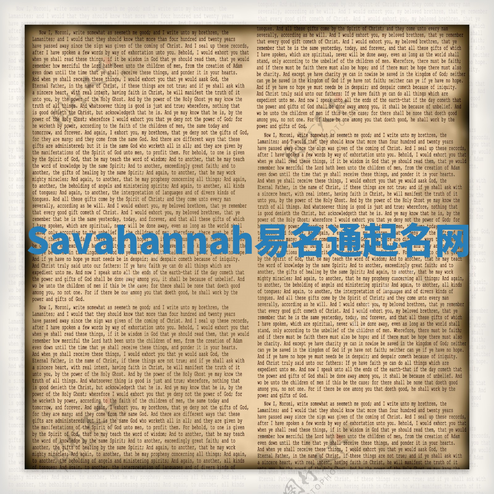 Savahannah易名通起名网