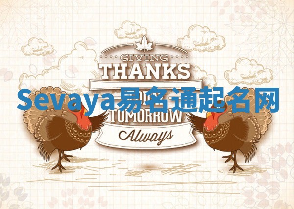 Sevaya易名通起名网 Sevaya易名通起名网