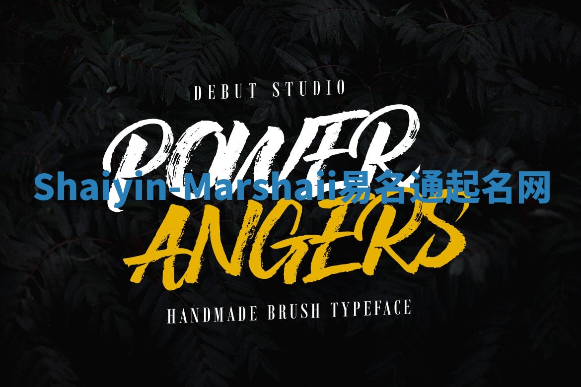 Shaiyin-Marshaii易名通起名网