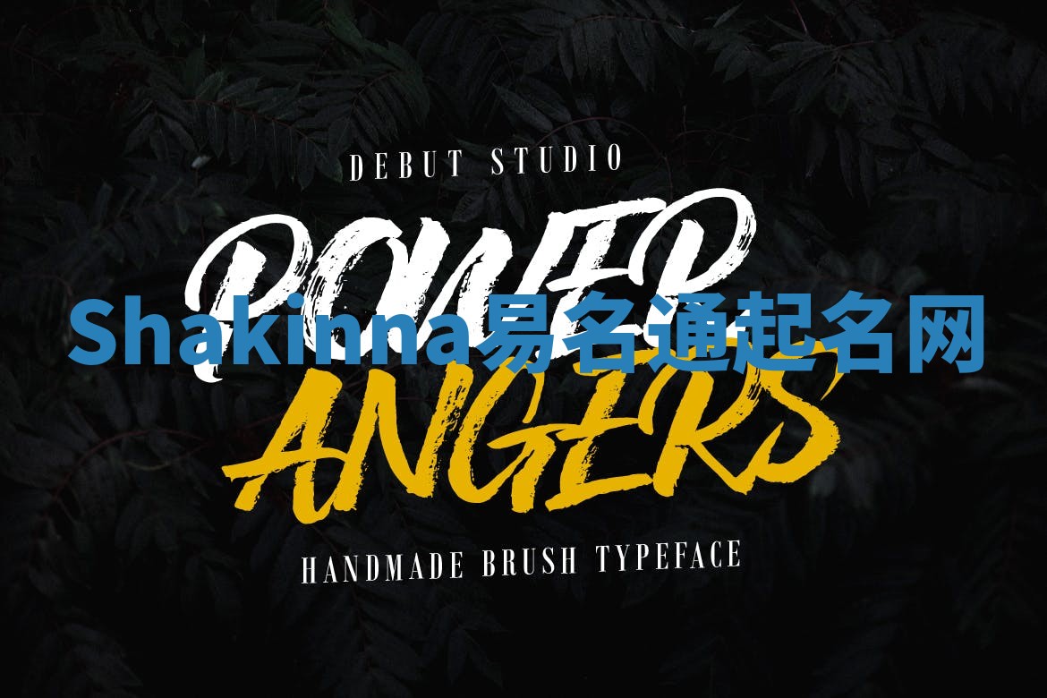 Shakinna易名通起名网