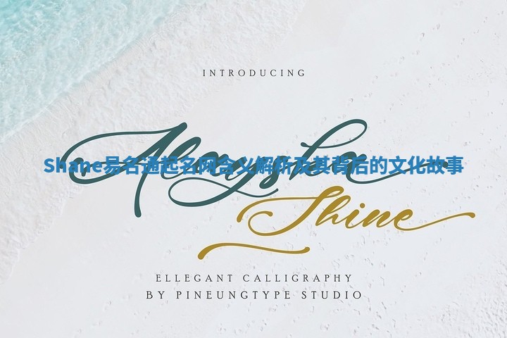 Shane易名通起名网含义解析及其背后的文化故事 Shane易名通起名网含义解析及其背后的文化故事