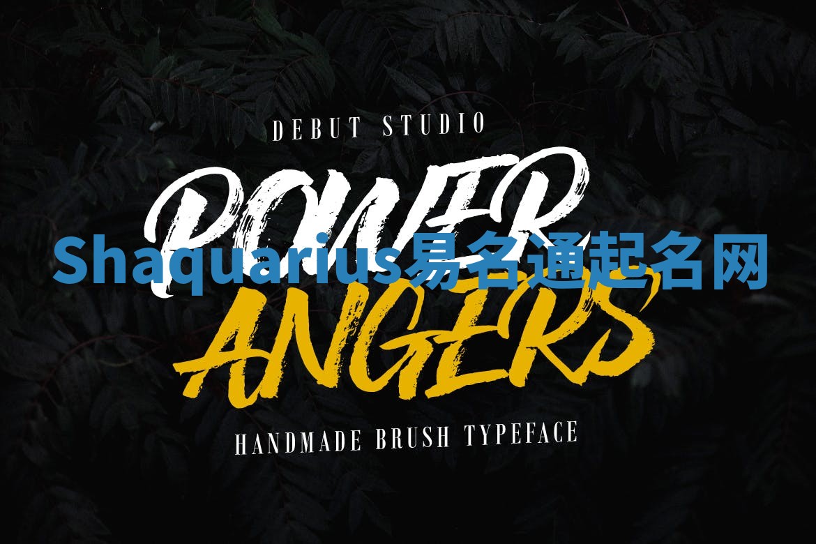 Shaquarius易名通起名网