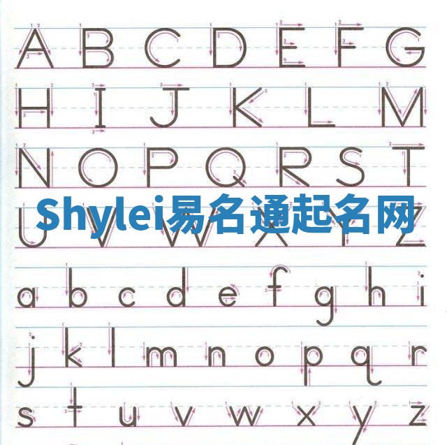 Shylei易名通起名网
