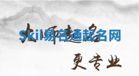 Skii易名通起名网