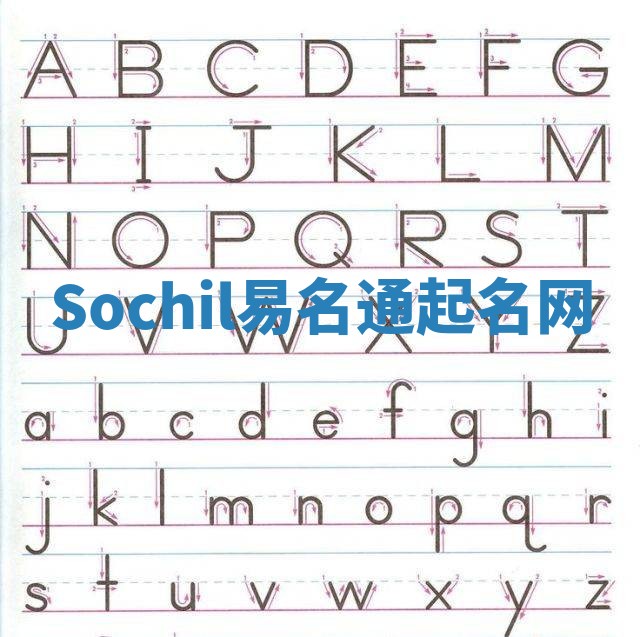 Sochil易名通起名网