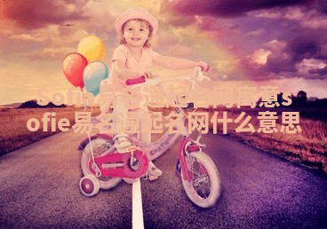 Sofia易名通起名网寓意 sofie易名通起名网什么意思