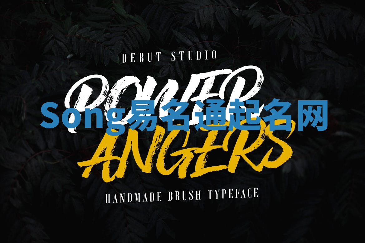 Song易名通起名网