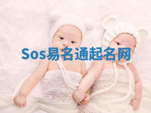 Sos易名通起名网 Sos易名通起名网