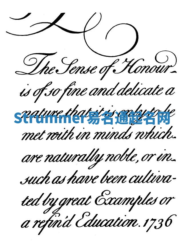 Strummer易名通起名网