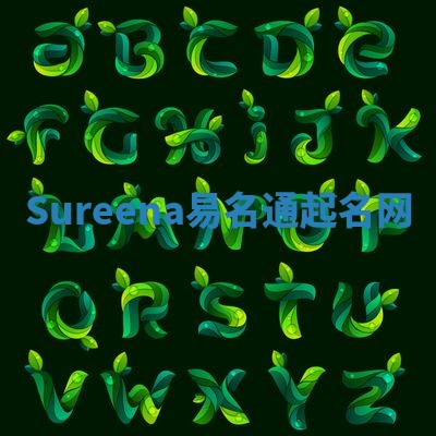 Sureena易名通起名网