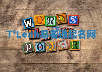 T'Leah易名通起名网