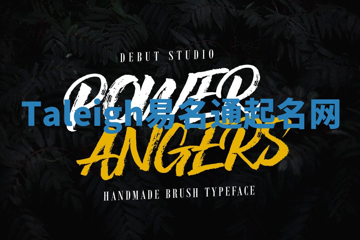 Taleigh易名通起名网